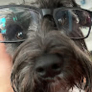 Meet your Posher, Veronika